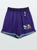 Vintage Charlotte Hornets Champion NBA Shorts